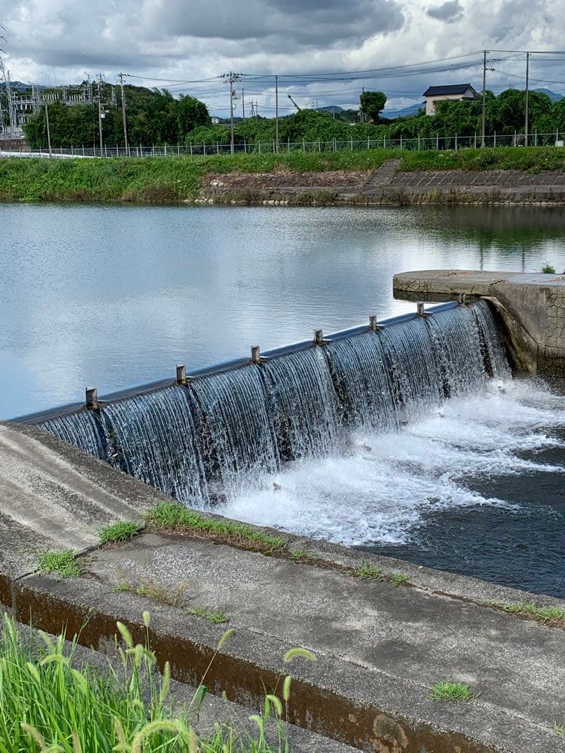 高食味❗️令和7年 低農薬栽培 高知コシヒカリ玄米10キロ(5kg×2)精米無料