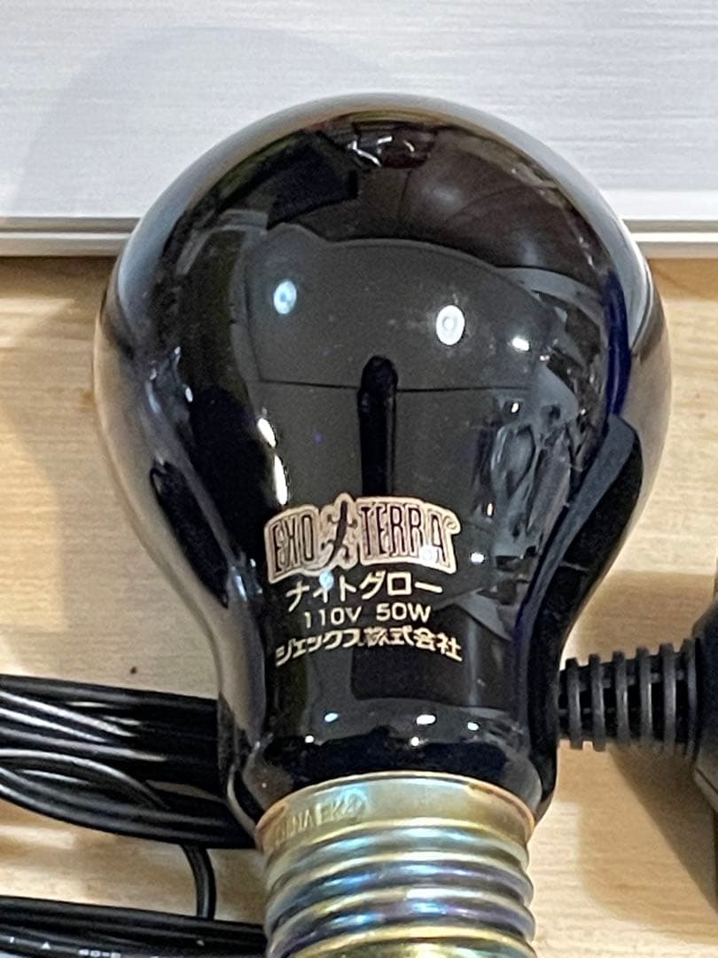 すぐ飼育可！GEX エキゾテラ グラステラリウム 3045 豪華12点おまけつき