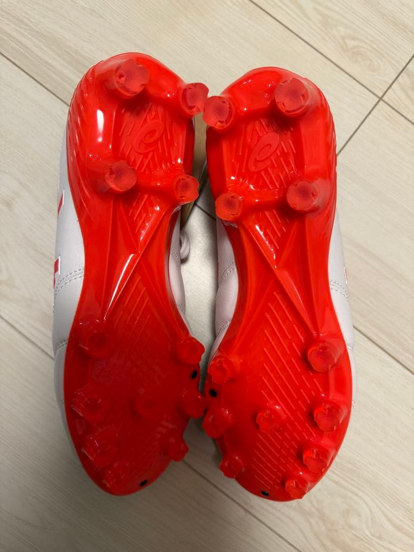 シューズ ASICS DS LIGHT X-FLY6 25cm