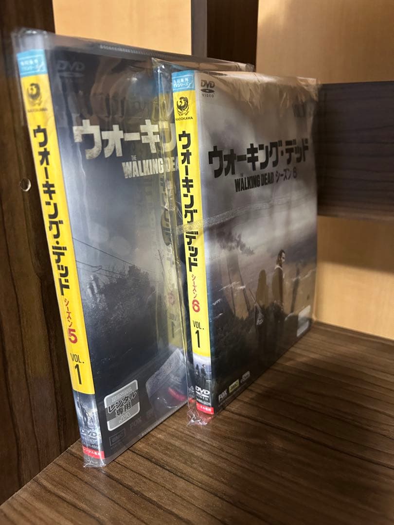 ウォーキング・デッド DVDレンタル1〜10 11セル 全巻セット
