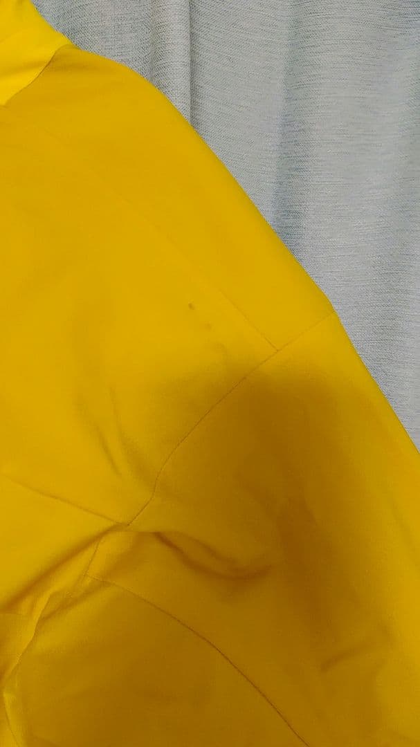 ミズノスキーウエア(上着のみ)