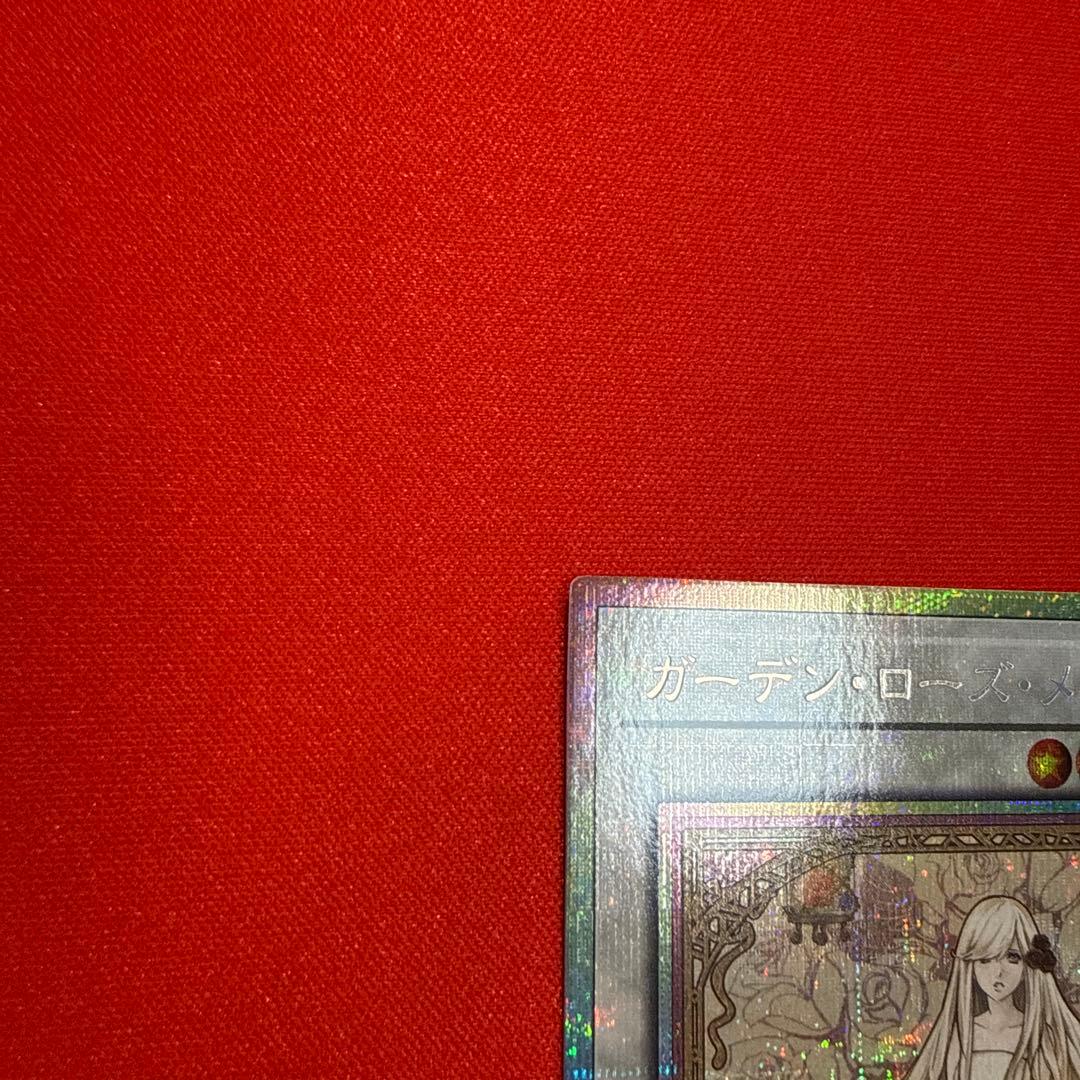 【まとめ買い割引】 ガーデン・ローズ・メイデン プリシク プリズマ 絵違い