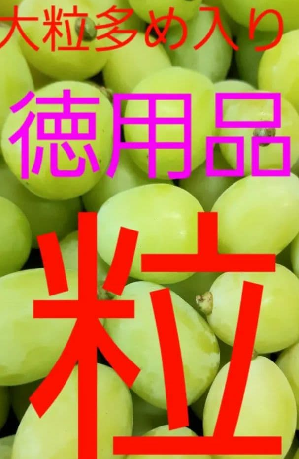 シャインマスカット増量の、大粒多め入り徳用5.5キロ粒バック入りになります。