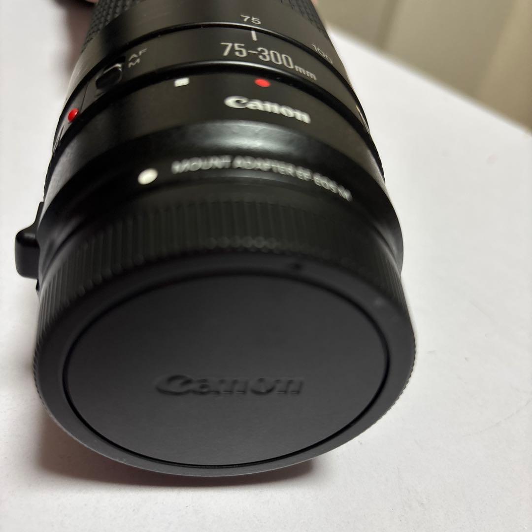 Canon EF 75-300mm ズームレンズ