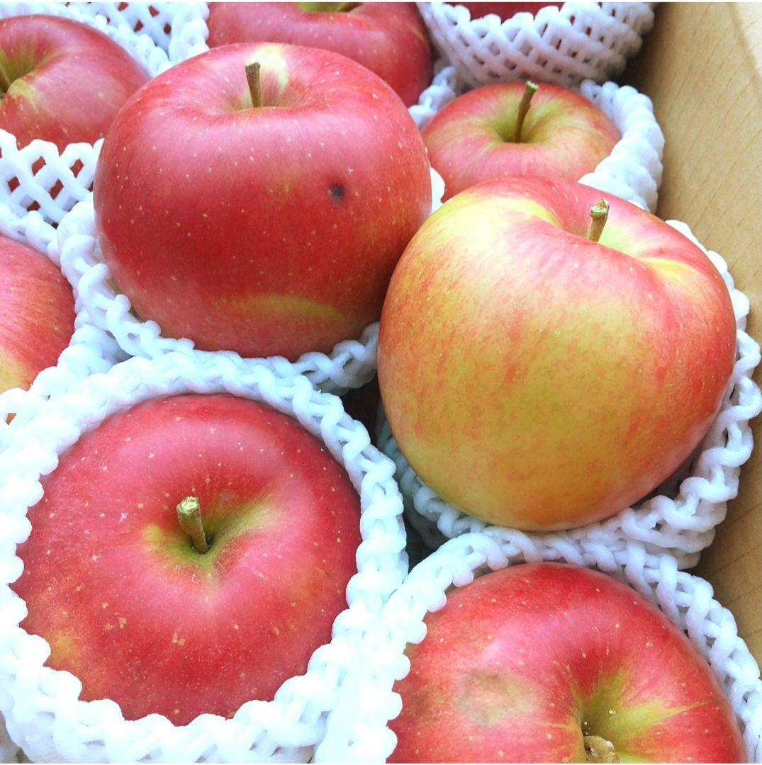 お得　高糖度のシナノスイート10k じぃじの美味しい林檎