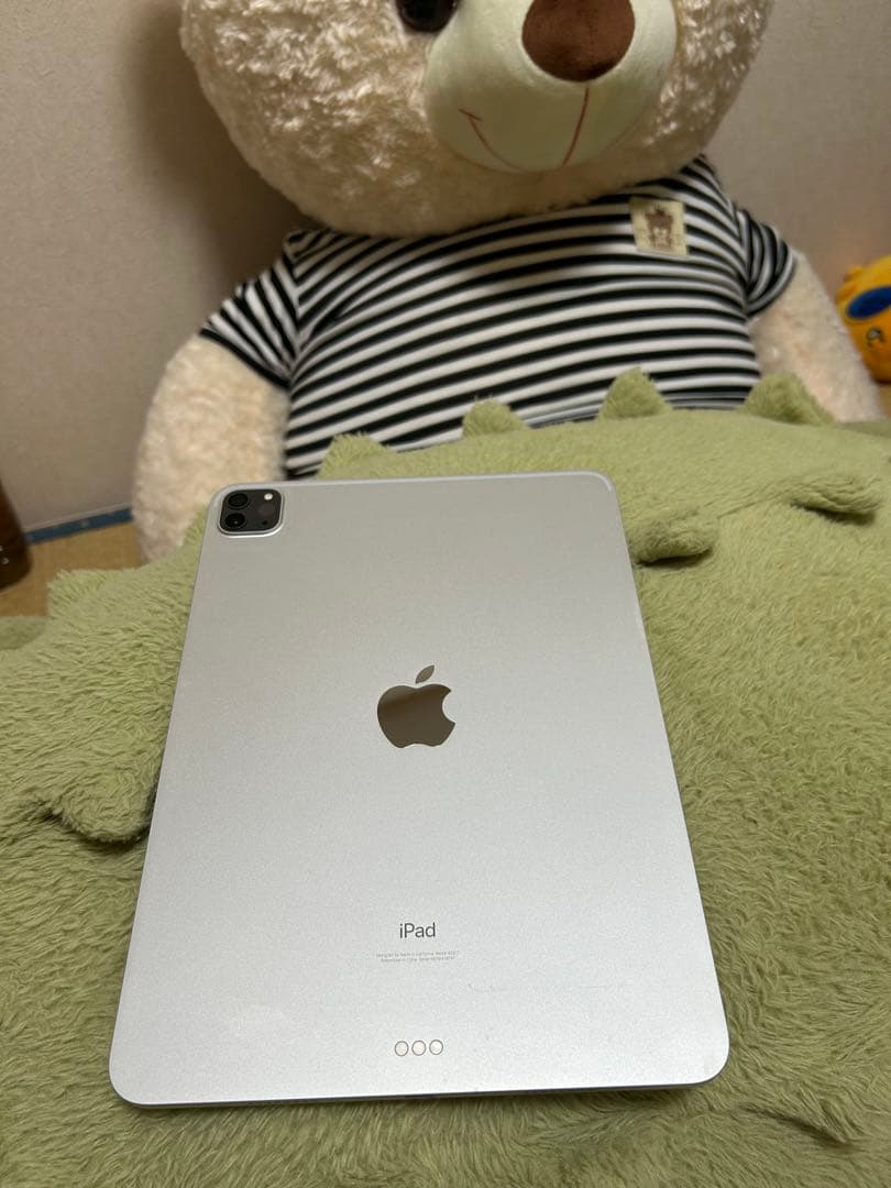 iPad Pro (11 inch) （第3世代）