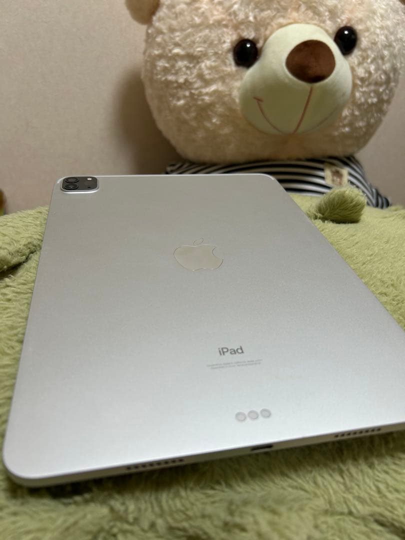 iPad Pro (11 inch) （第3世代）