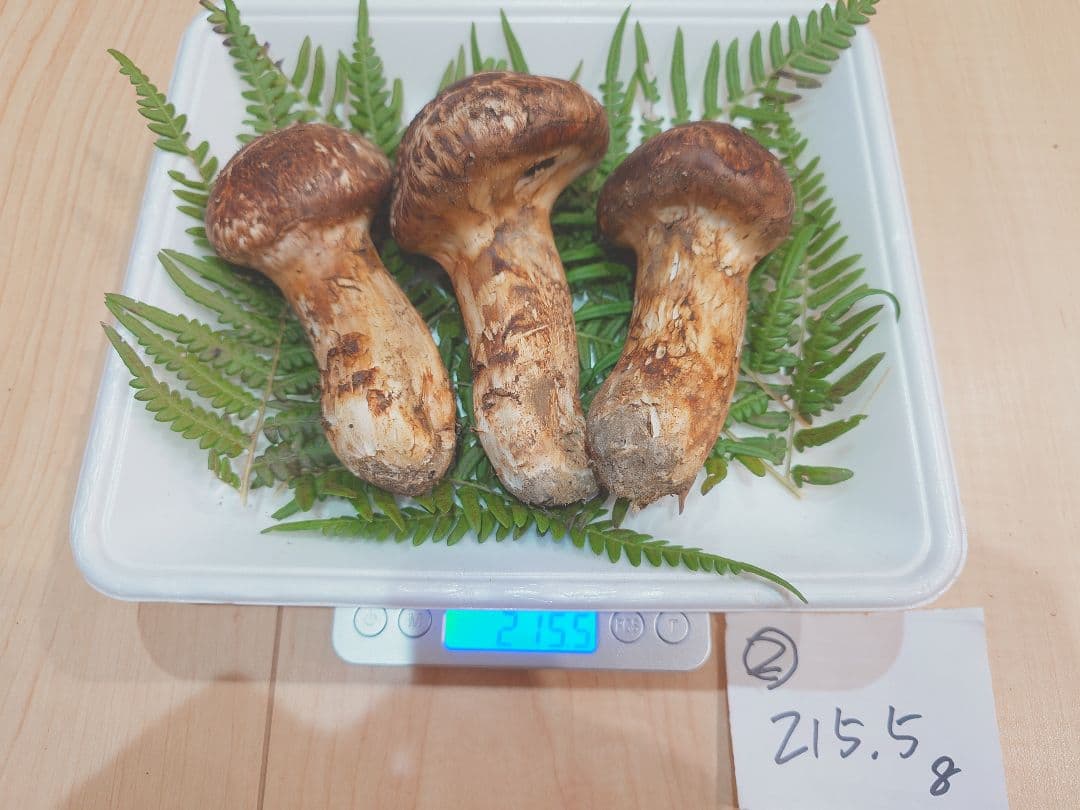 岩手県岩泉産　松茸（天然物）215g、3本　②