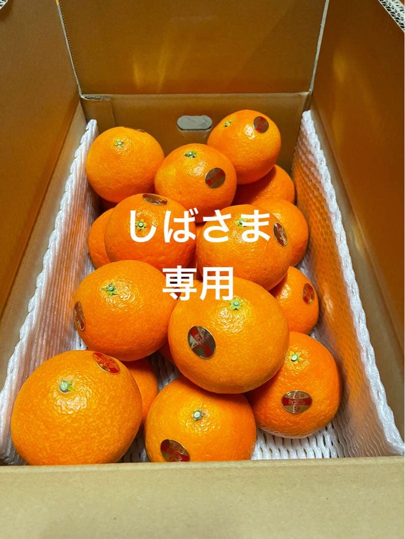 紅まどんな(5kgx2箱)贈答用・家庭用