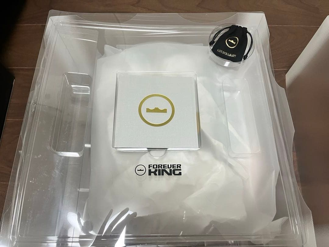 LEBRON XXIII EP レブロン23 試着のみ 29cm