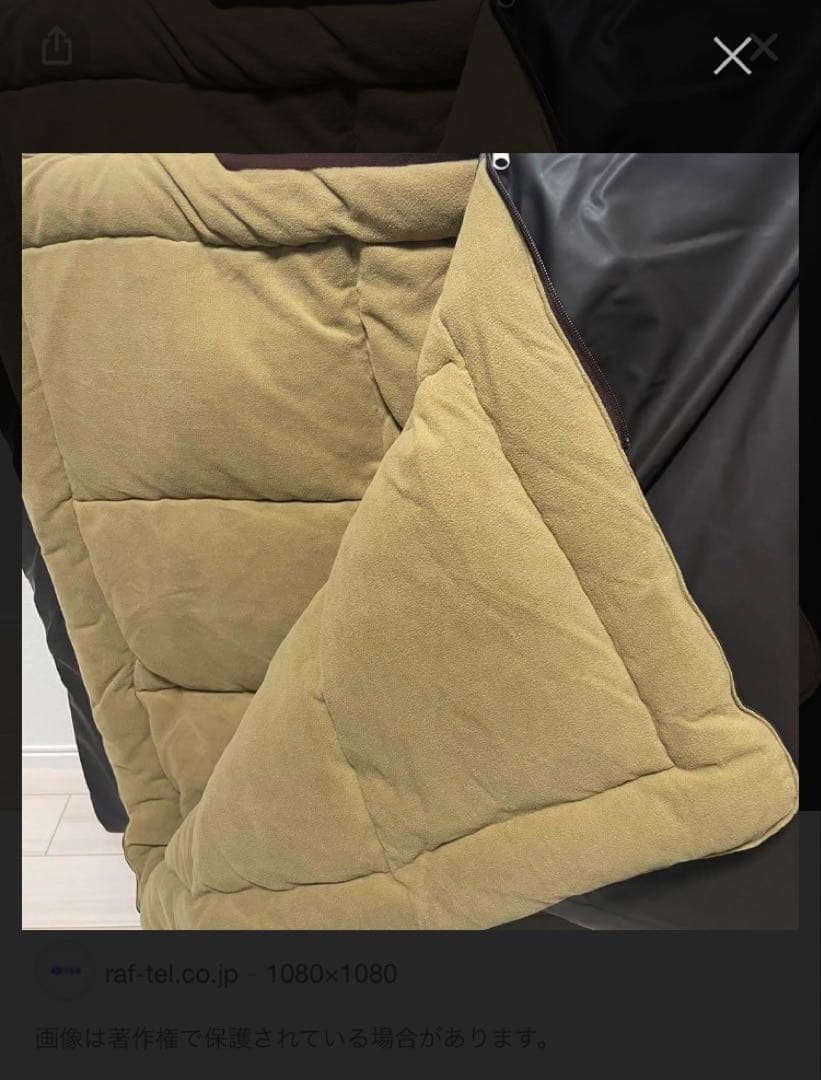 テルスガイザー