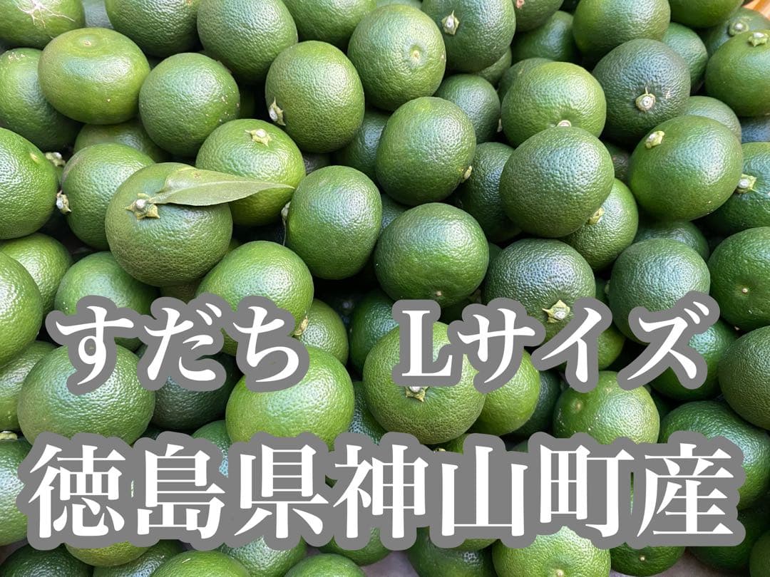 徳島県神山町産　《冷蔵貯蔵すだち》 綺麗なLサイズ　4キロ　　②
