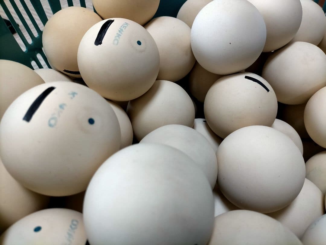 ソフトテニスボール【87球】ケンコーボール