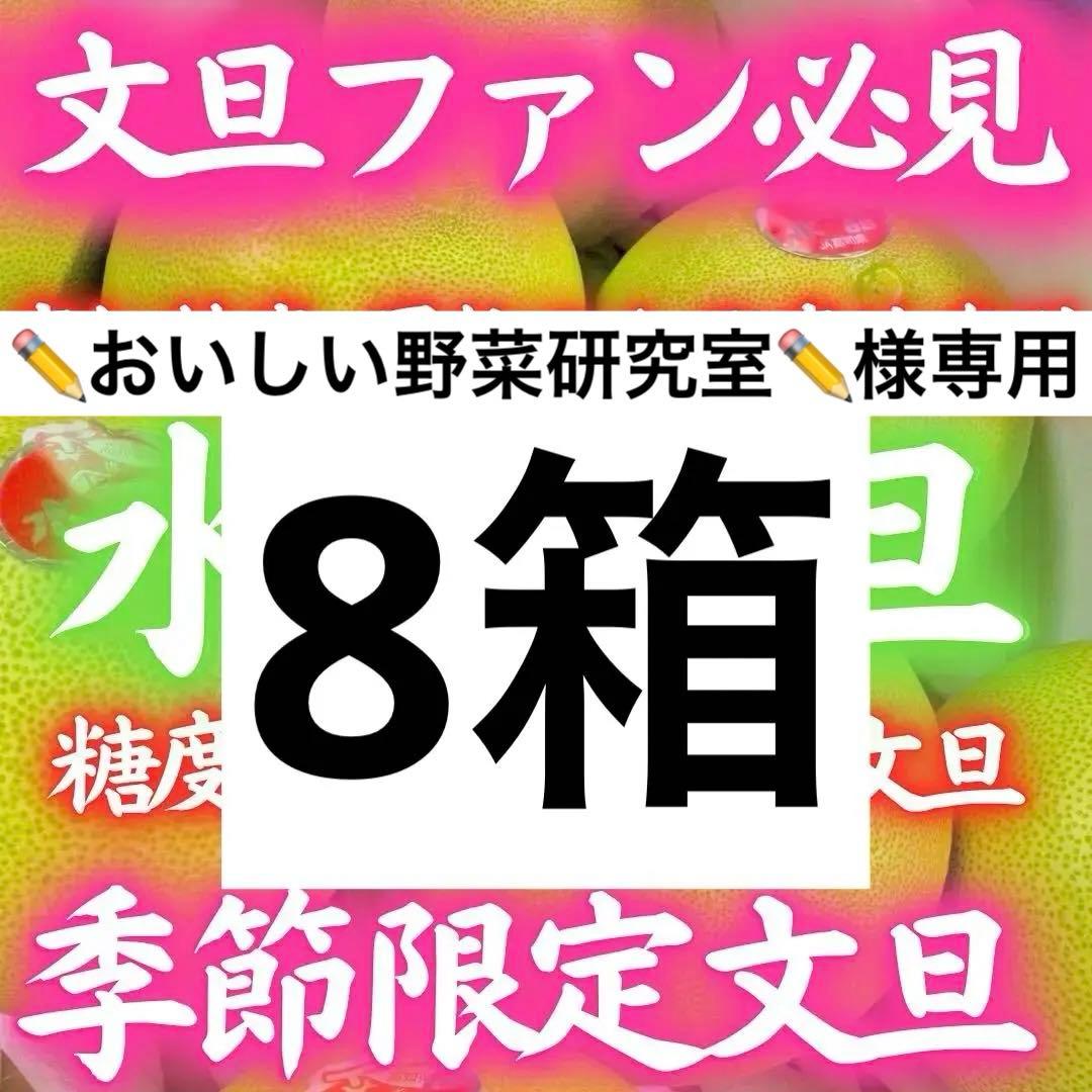 22高知特産 水晶文旦 8～6玉入 約3kg ×8箱