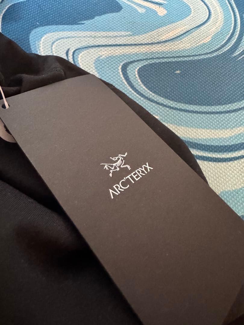 arc'teryx スカルキャップ ビーニー