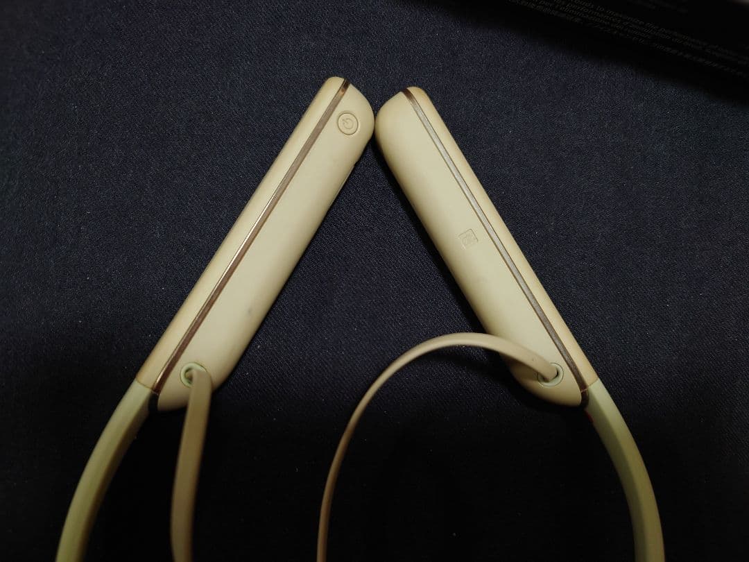 Sony ソニー ワイヤレスイヤホン WI-1000XM2