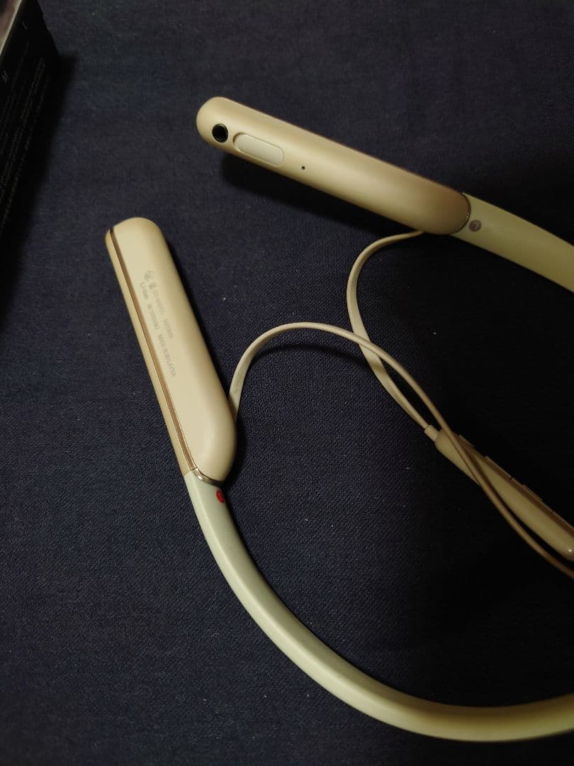 Sony ソニー ワイヤレスイヤホン WI-1000XM2