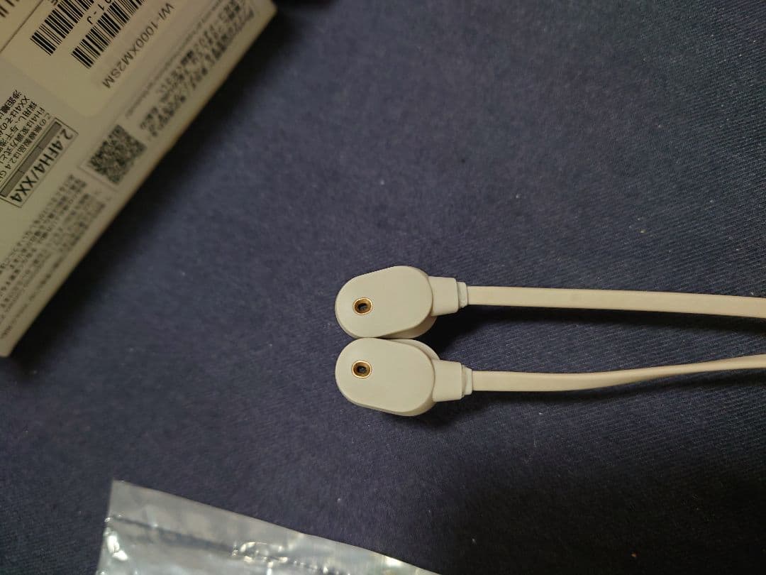 Sony ソニー ワイヤレスイヤホン WI-1000XM2