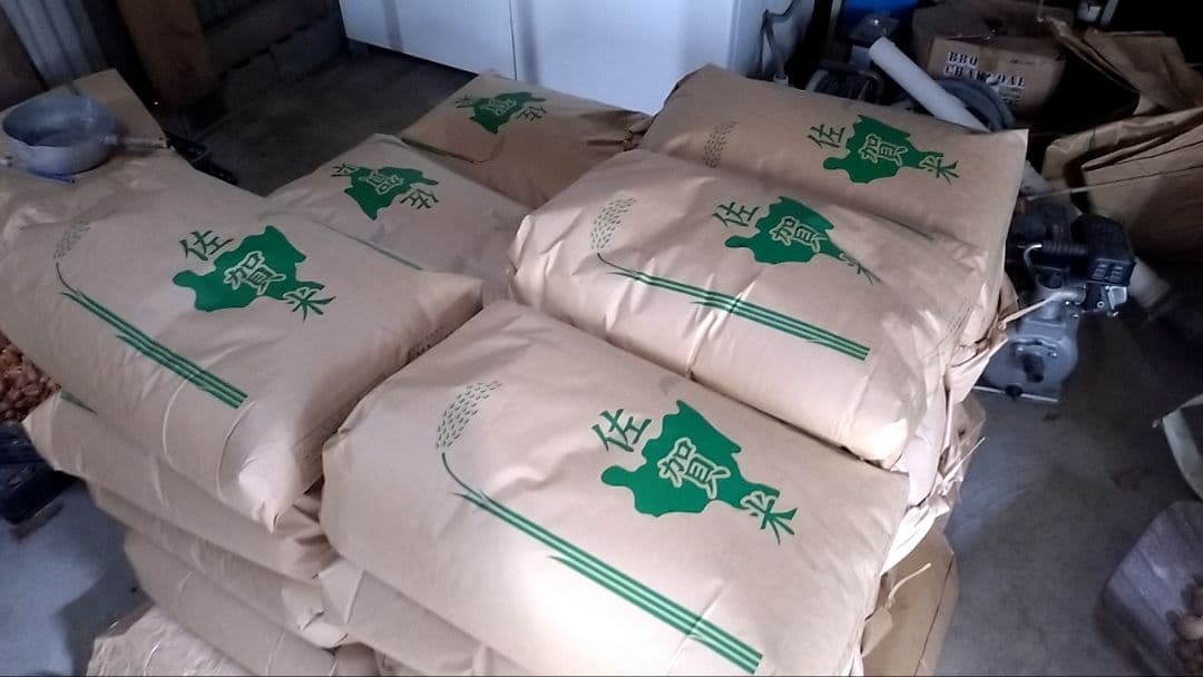 令和7年佐賀県産 さがびより 10kg 農家直送 （玄米）