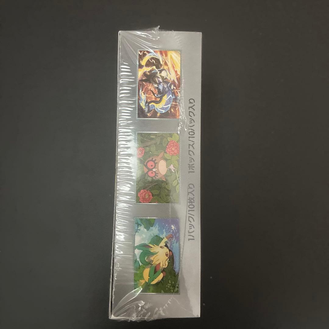 [新品未開封]テラスタルフェスex