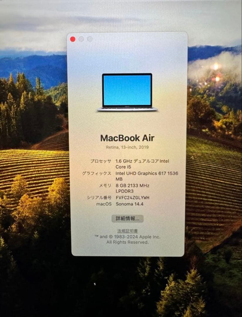 MacBook本体 MacBook Air 2019 13inch