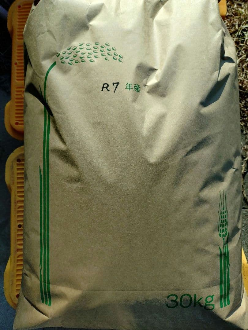 令和7年　　新米　玄米30キロ　早いもの勝ちラスト