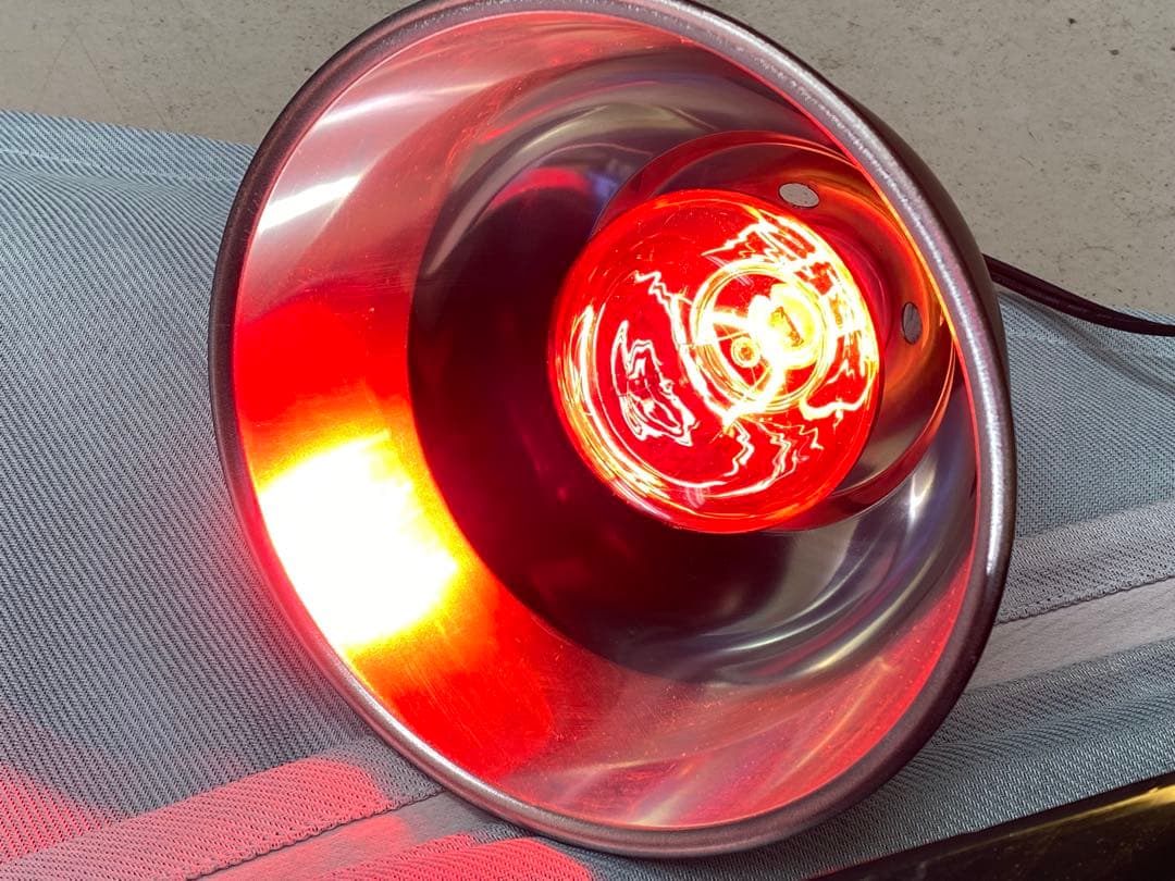 EXOTERRA 爬虫類・両生類用 グラステラリウム 照明付き 付属品多数