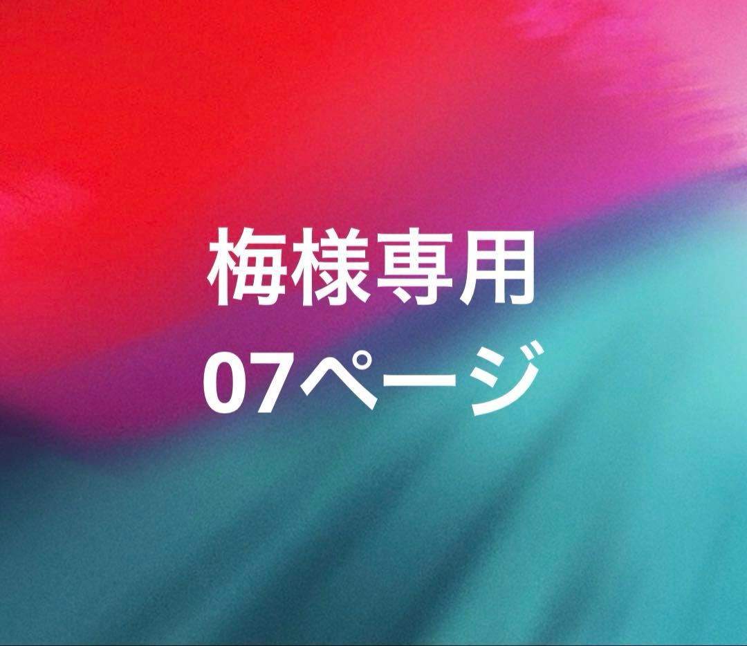 梅07ページ