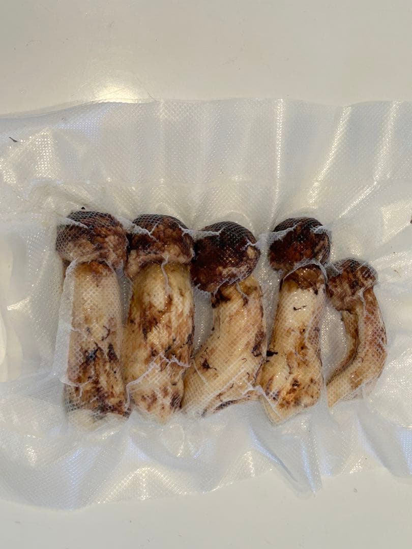 ☆信州産松茸☆ツボミの最高級冷凍松茸220グラム☆まつたけ☆国産松茸☆①☆