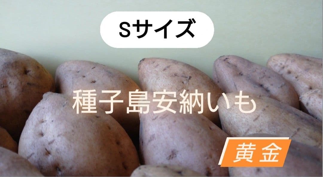 種子島安納いも Sサイズ 15㎏黄金