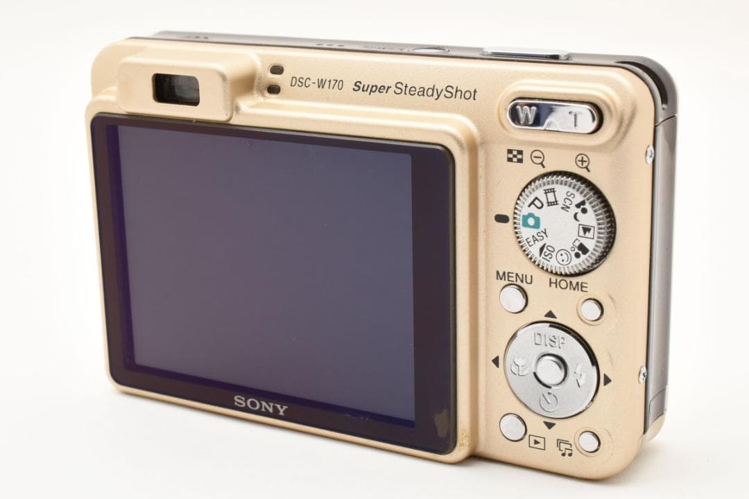 ■ 美品 ■ ソニー SONY サイバーショット DSC-W170　ケース付