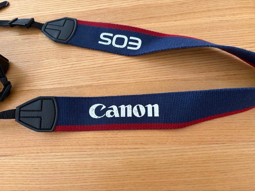 【ジャンク品】Panasonic LUMIX DMC-GF2 カメラセット