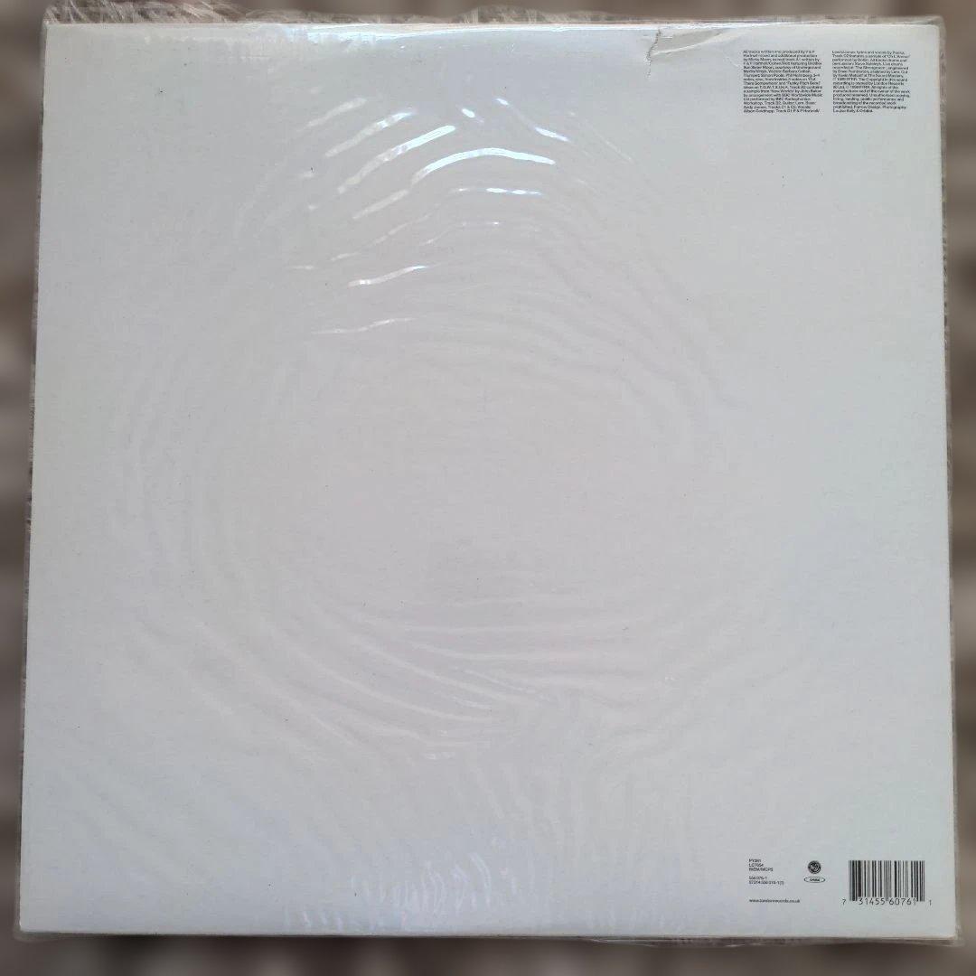 Orbital The Middle Of Nowhere 2xLP 他