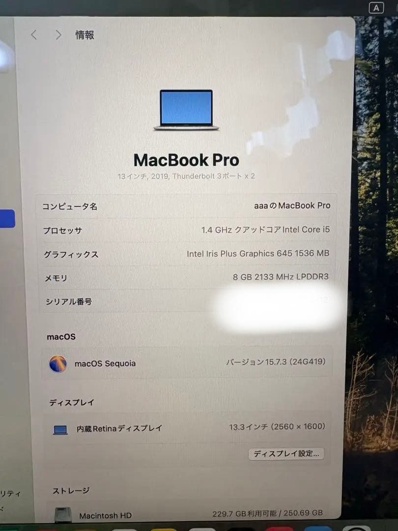箱・純正充電器付／バッテリー良好（22回） MacBook Pro 13インチ