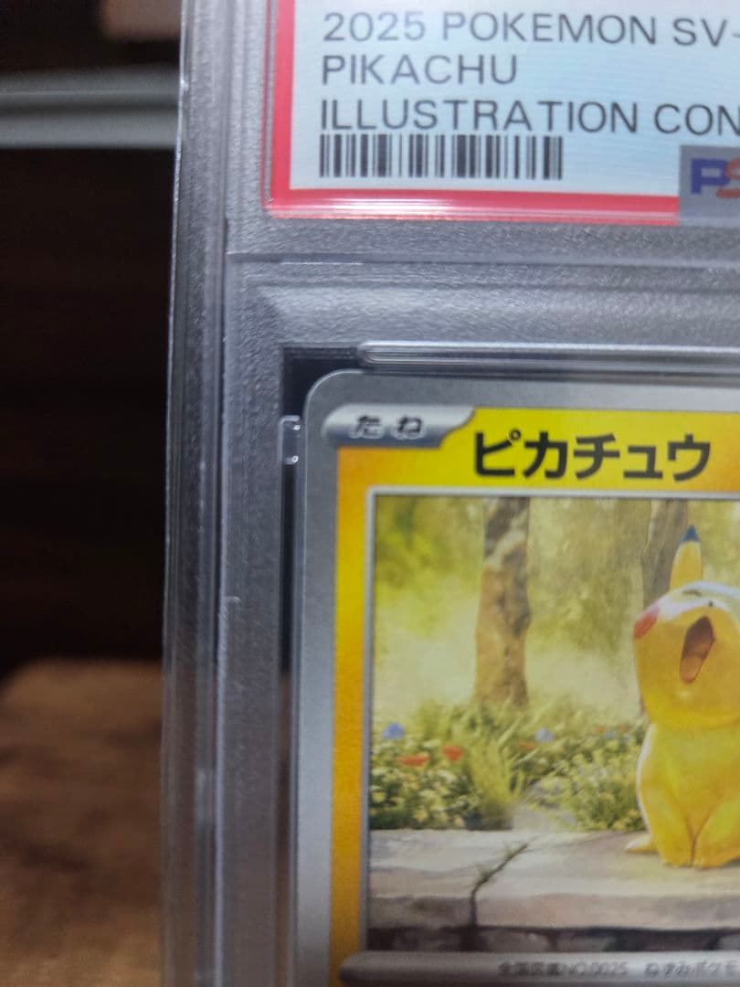 H*o様 PSA10　ピカチュウ プロモ　242/SV-P　2024年イラストコ