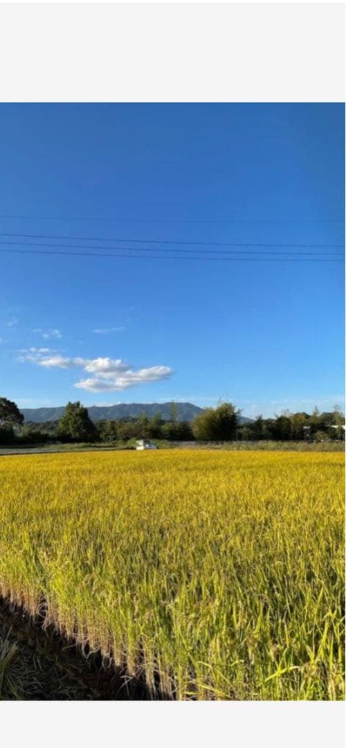 奈良県産自然栽培ヒノヒカリ20kg精米