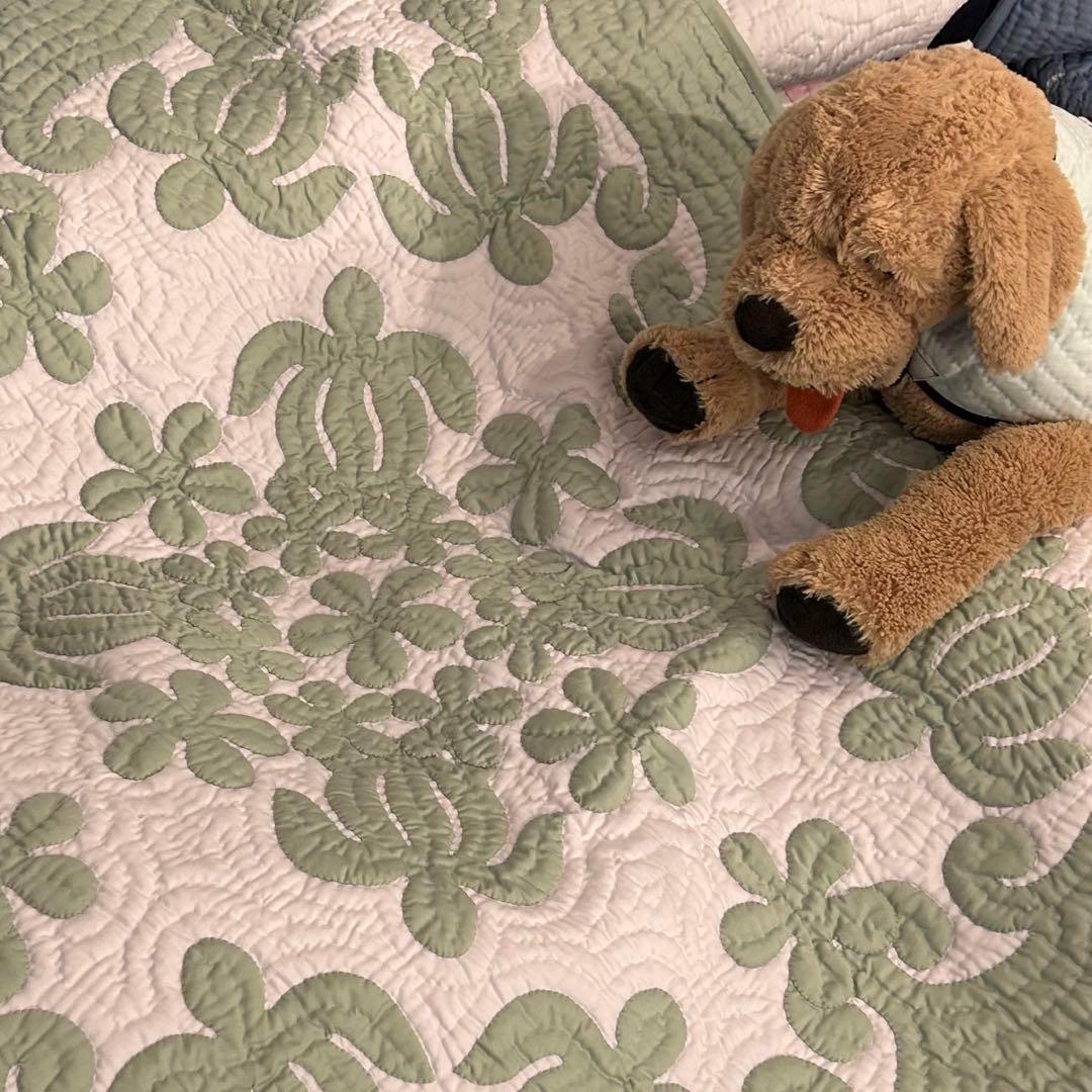 クプナ♡タペストリー♡ホヌ♡153×153♡セルドングリーン♡