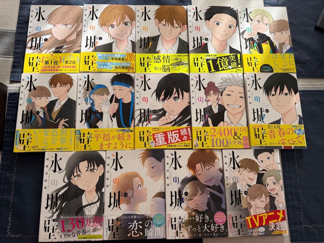 「氷の城壁」1〜14巻　全巻セット