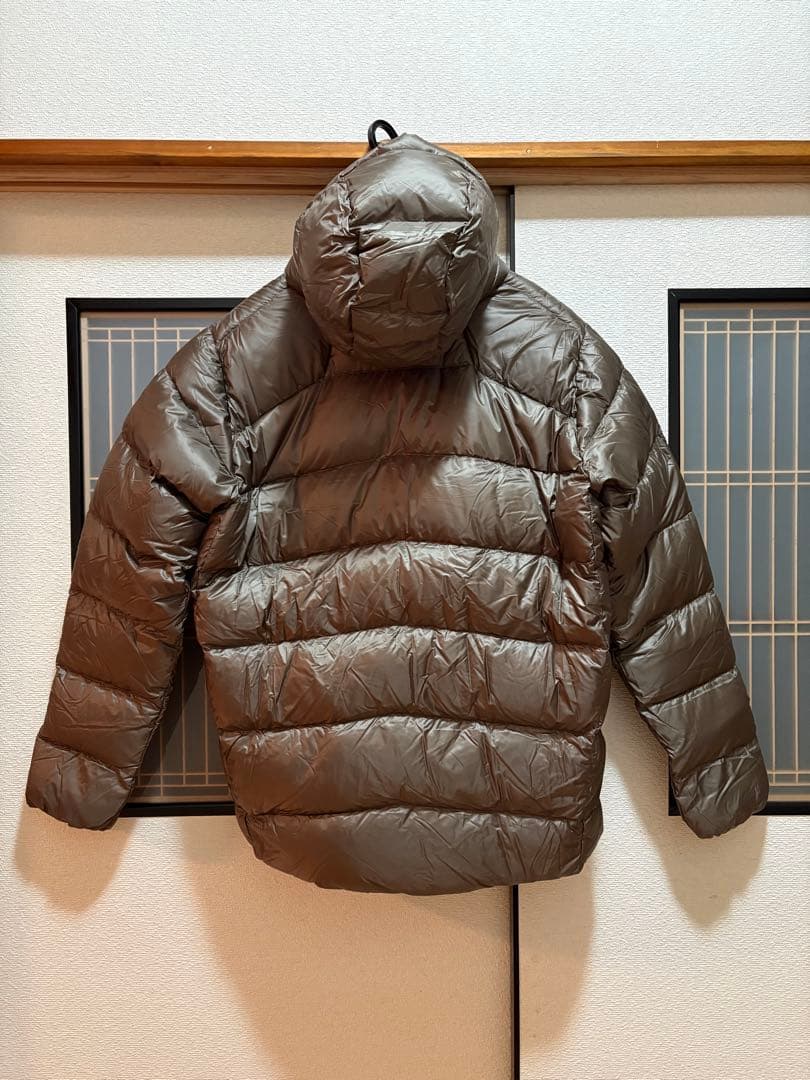 パタゴニア フィッツロイダウンフーディ MRLB 新品 Lサイズ