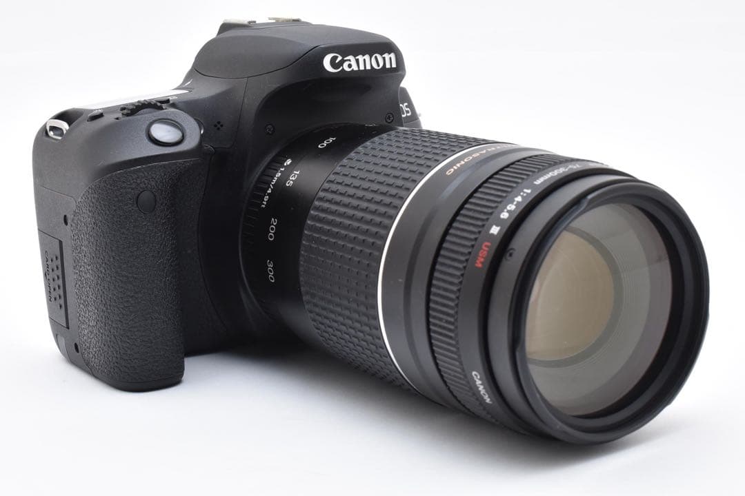 デジタル一眼レフカメラCanon EOS 9000D標準&望遠ダブルレンズセット