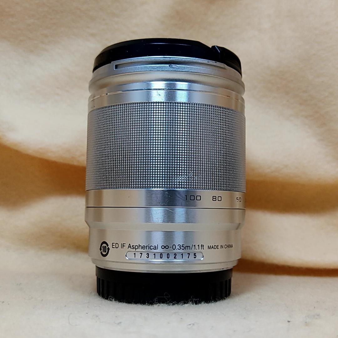 高倍率ズームレンズ Nikon 1 NIKKOR 10-100mm シルバー