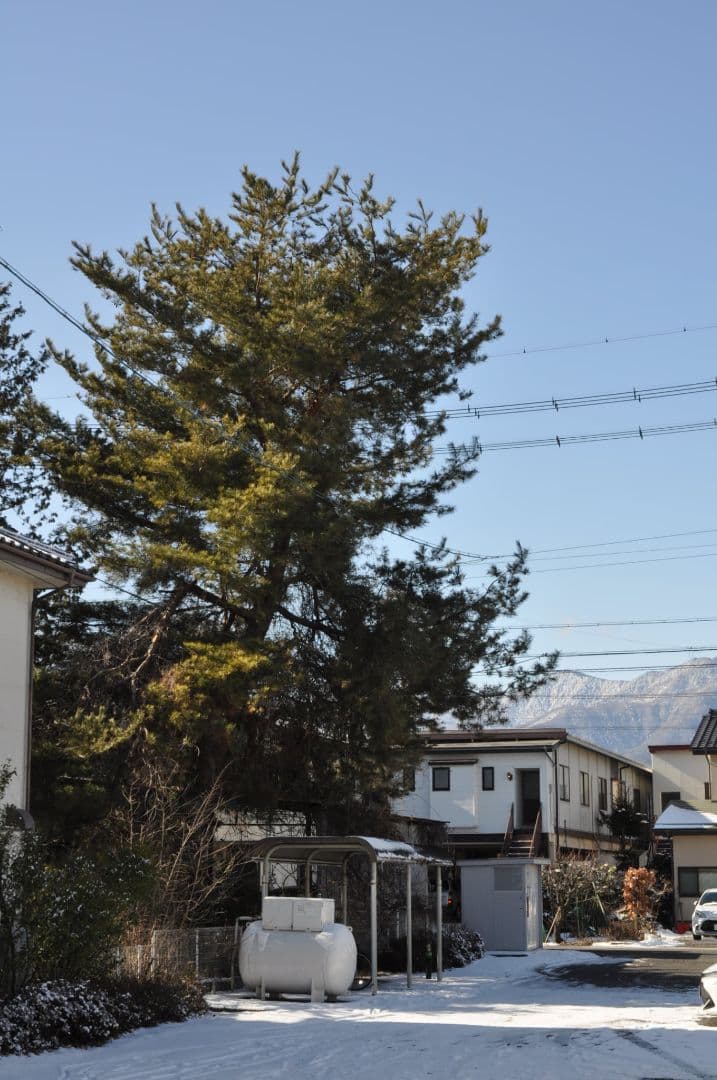 Nikon D5000 DX 18-70MM F3.5-4.5 (4249枚)