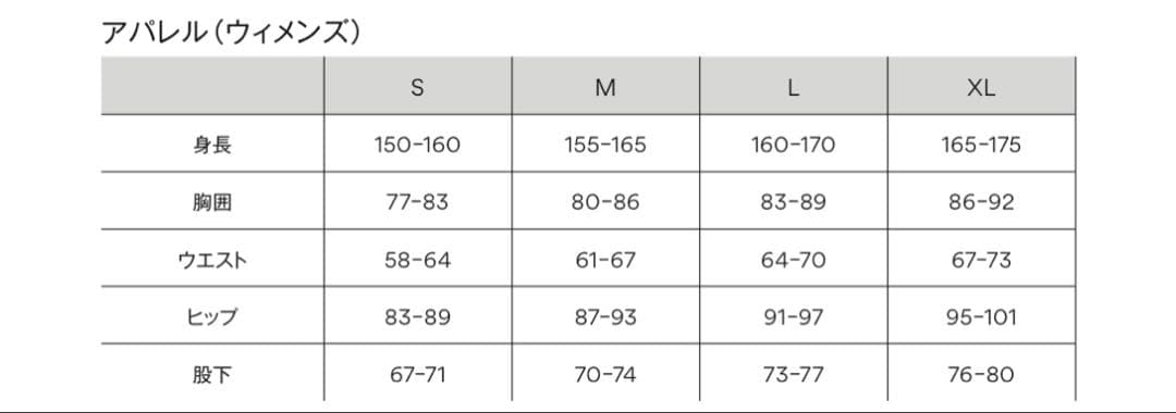 ゴールドウィンGORE-TEX スキーウェアグレイシャーグレー