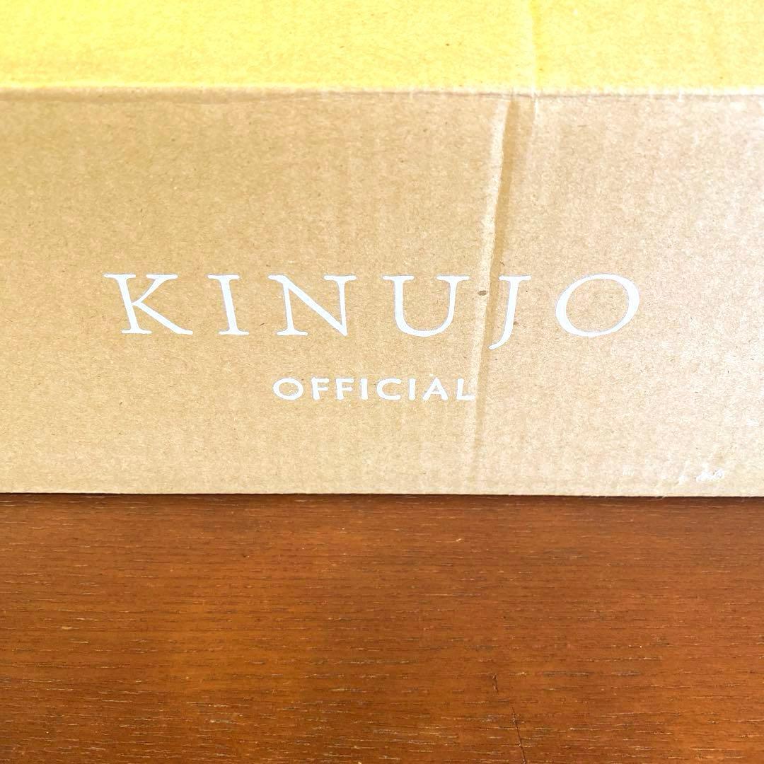 【美品】KINUJO ミニアイロン deux 海外可　耐熱ポーチ付
