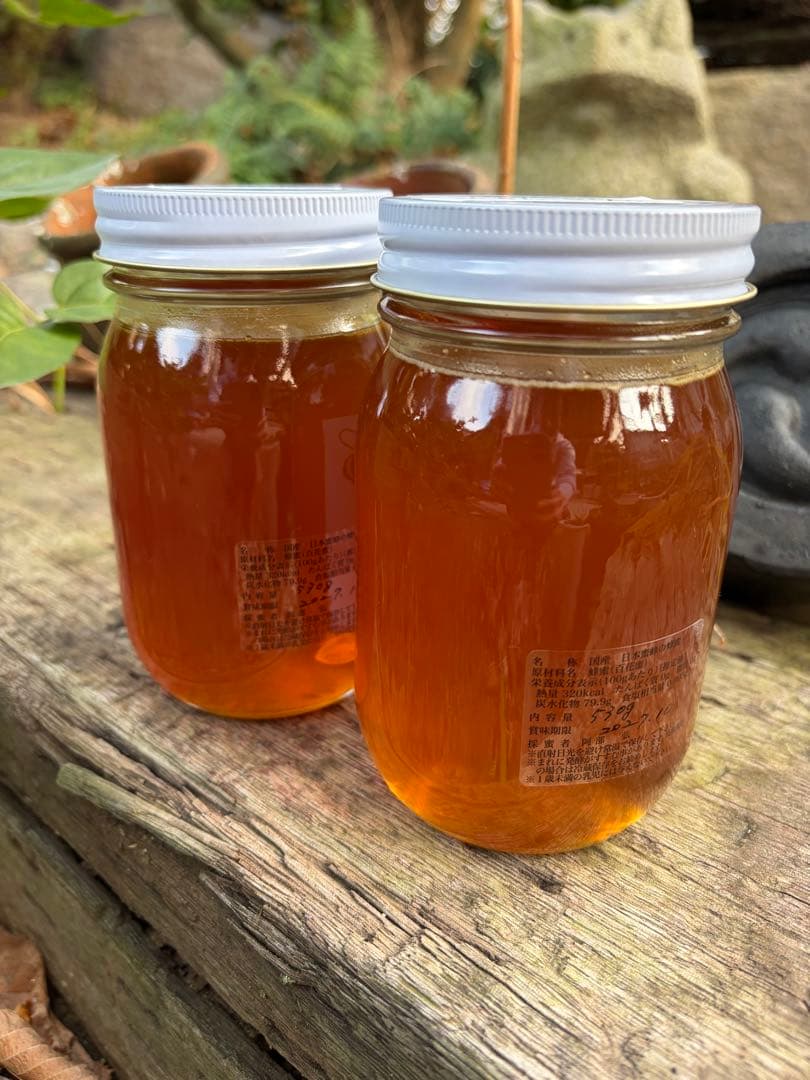 ハチミツ　日本蜜蜂の蜂蜜　巣箱違い谷違いのはちみつ　奥山の奥