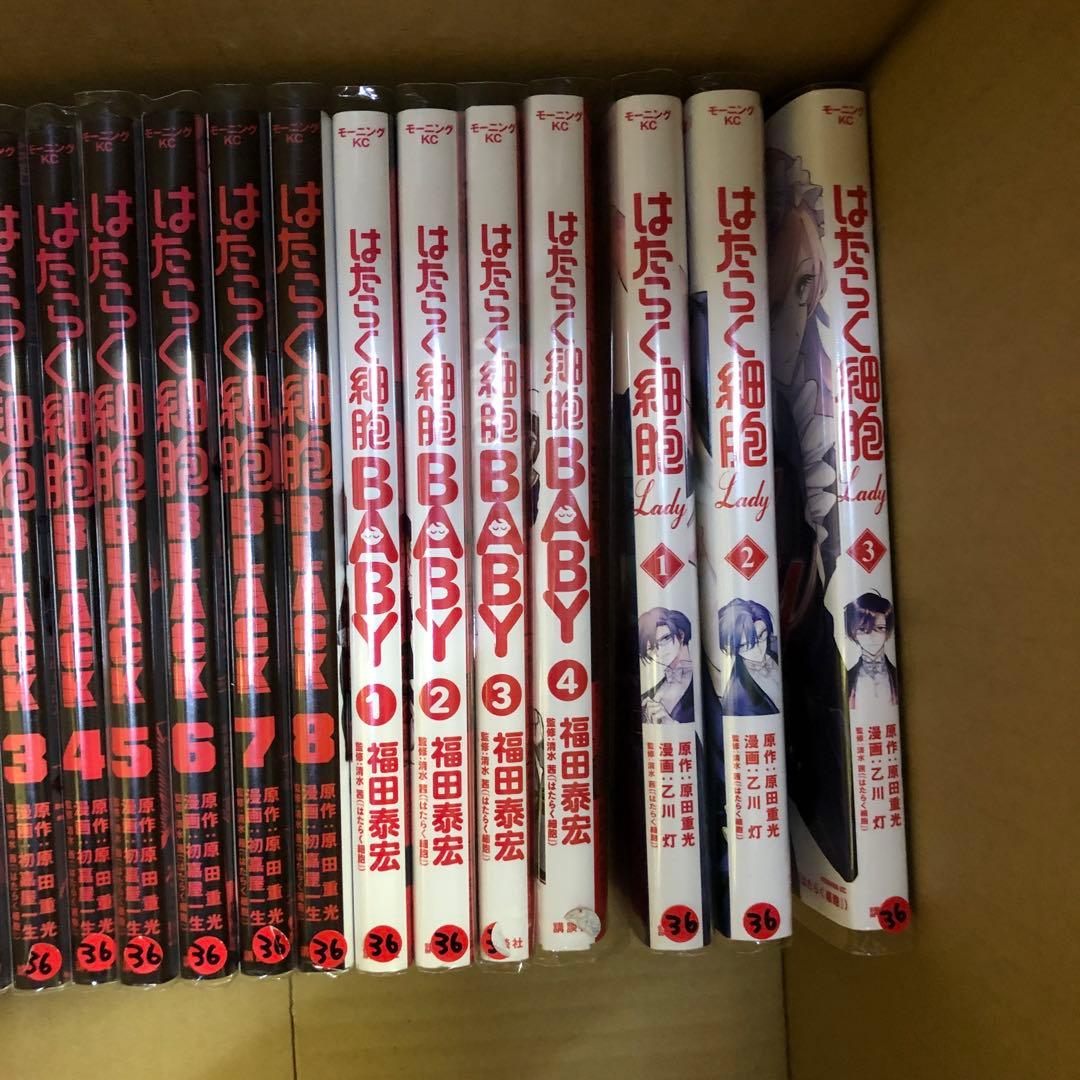 はたらく細胞 関連本 コミック42冊 全巻 セット S1006