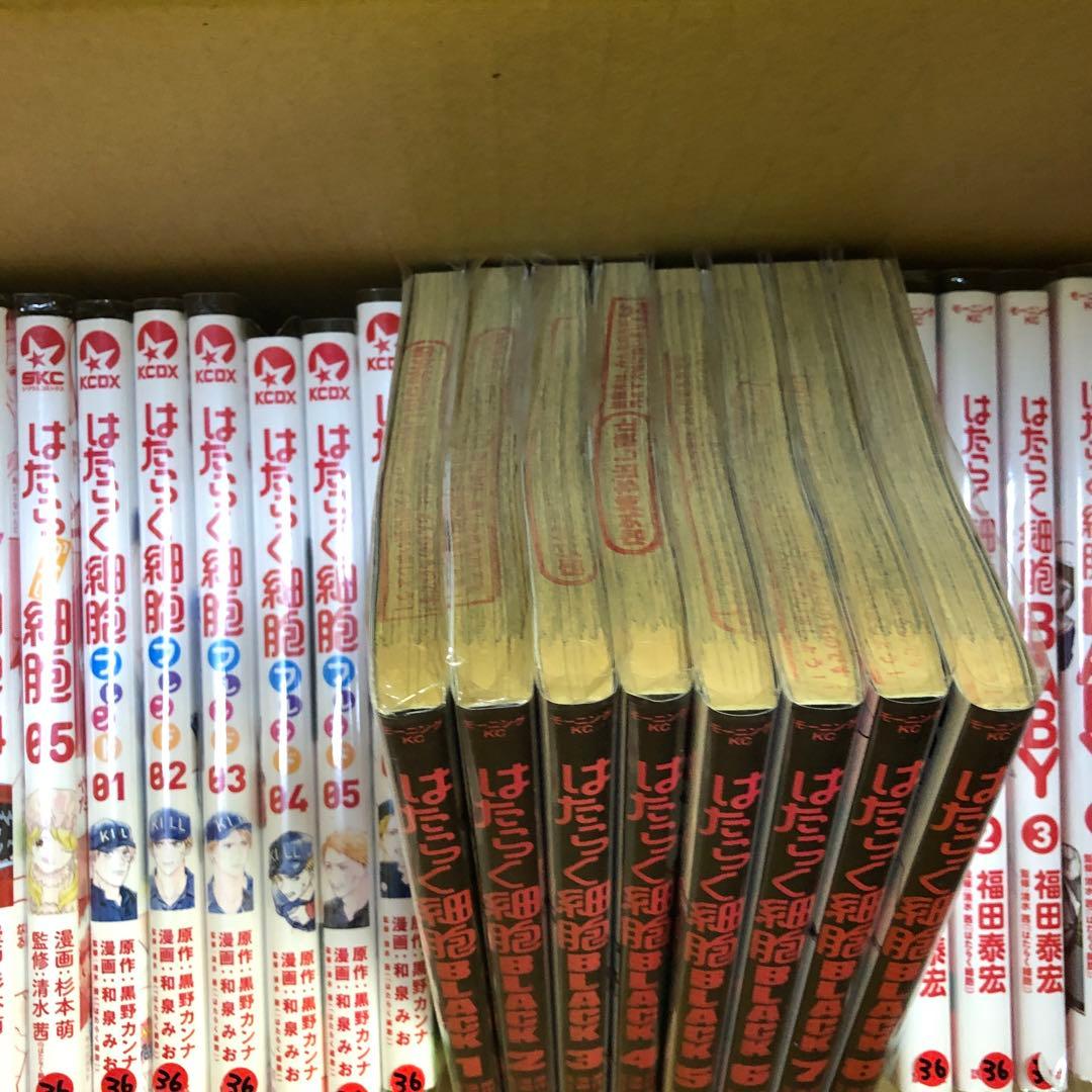 はたらく細胞 関連本 コミック42冊 全巻 セット S1006