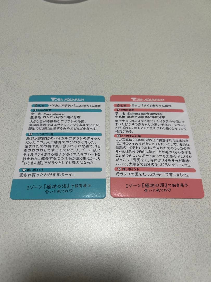 鳥羽水族館カード ニコくん、メイちゃんカード