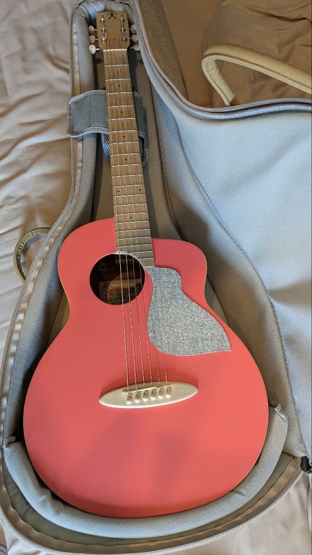 aNueNue MC10 アヌエヌエ