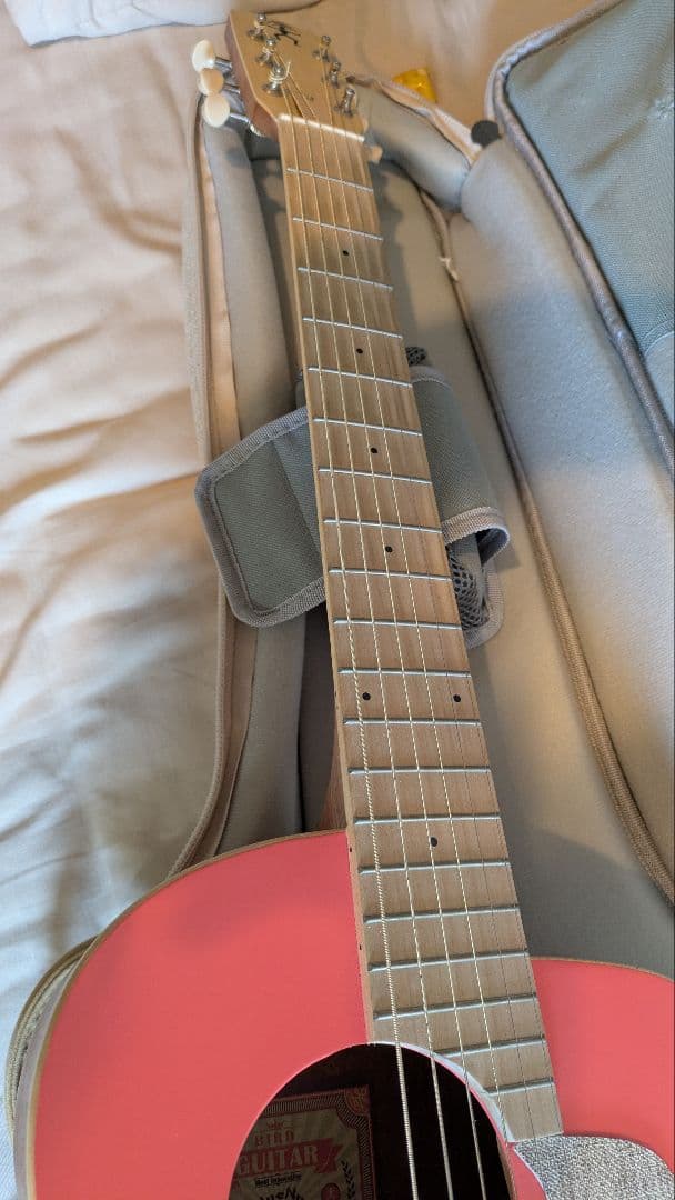 aNueNue MC10 アヌエヌエ